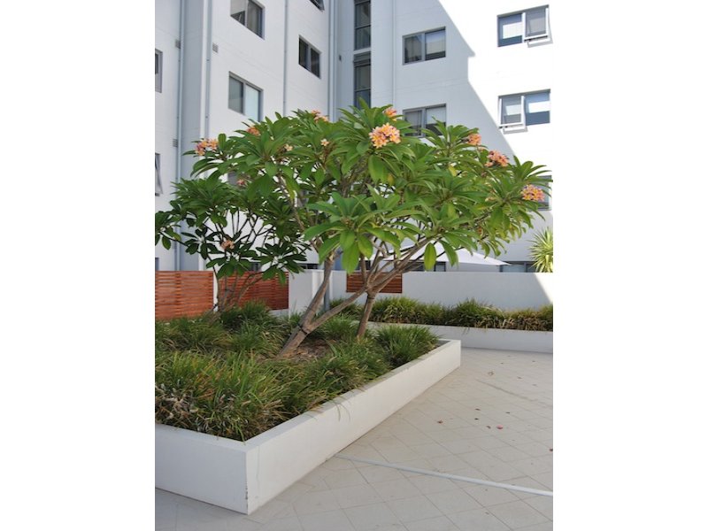 Real Estate in West Perth