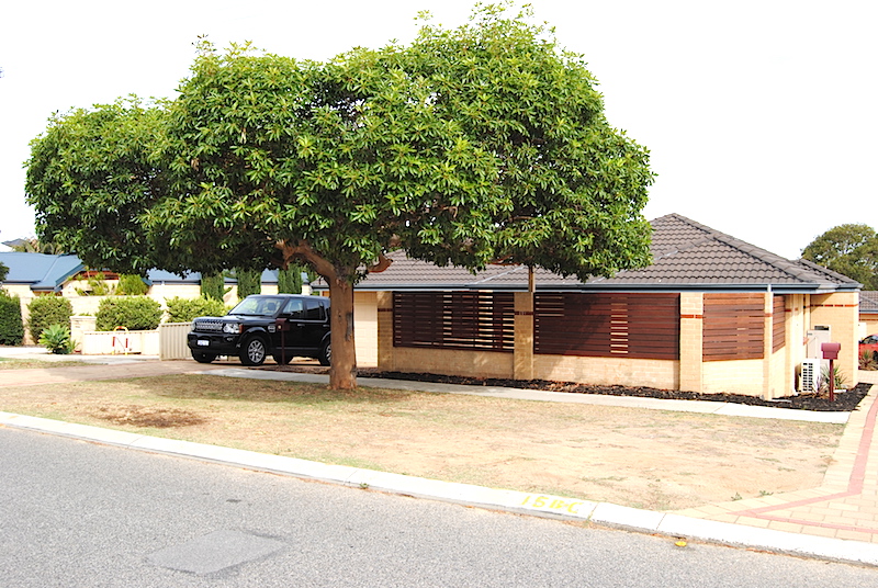 Property Sold in Innaloo