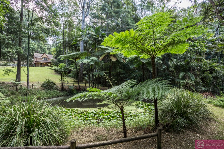 Real Estate in Boambee