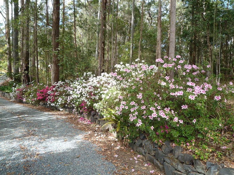 Real Estate in Boambee