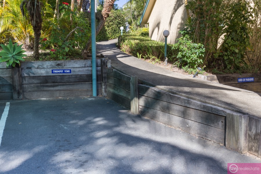 Real Estate in Korora