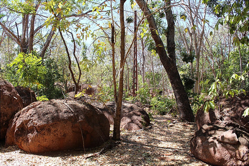 Real Estate in Marrakai