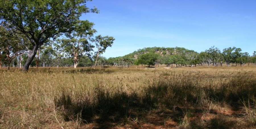 Real Estate in Katherine