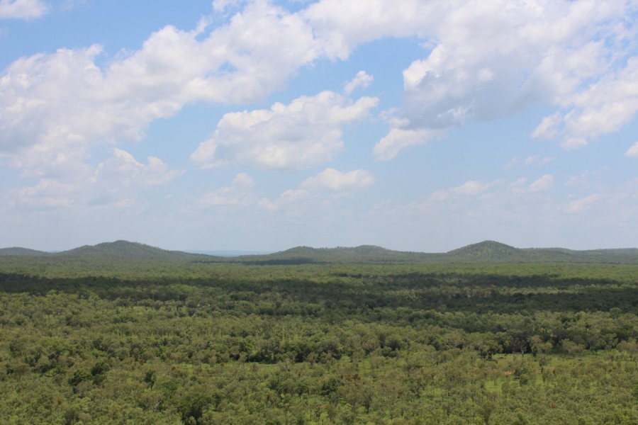 Real Estate in Katherine