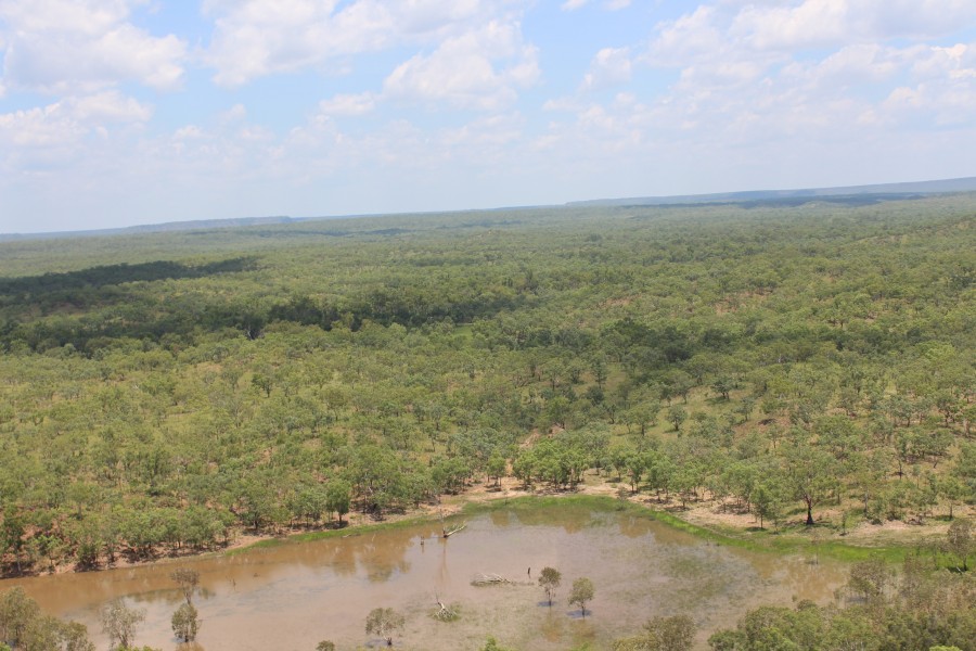 Real Estate in Katherine