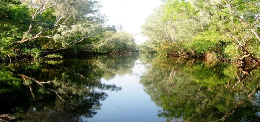Real Estate in Katherine