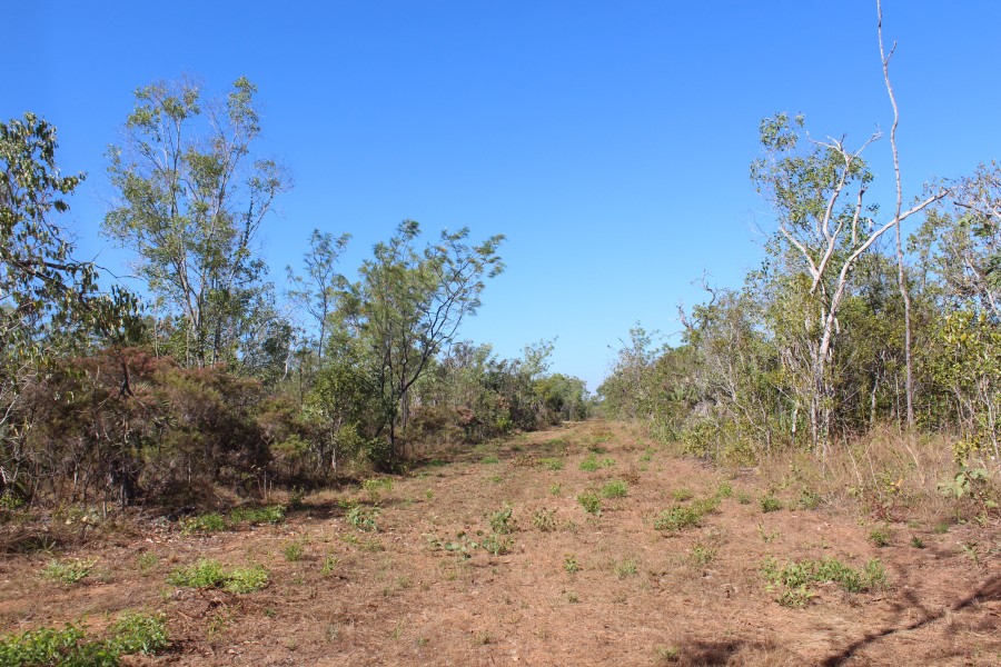 Dundee Downs real estate Sold