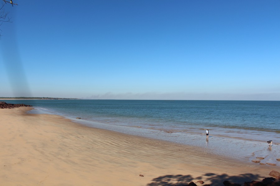 Open for inspection in Dundee Downs