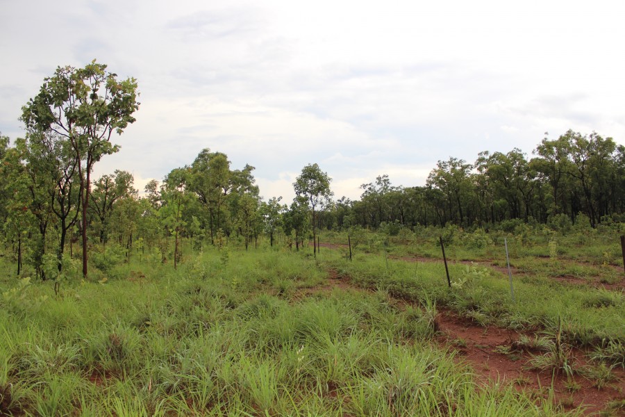 Batchelor Properties For Sale