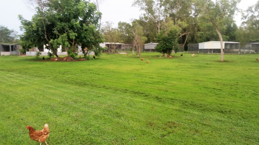 Real Estate in Noonamah