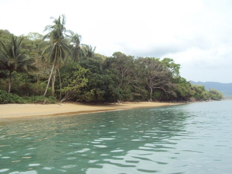 Property For Sale in Palawan