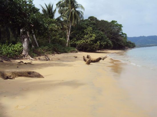 Palawan Properties For Sale