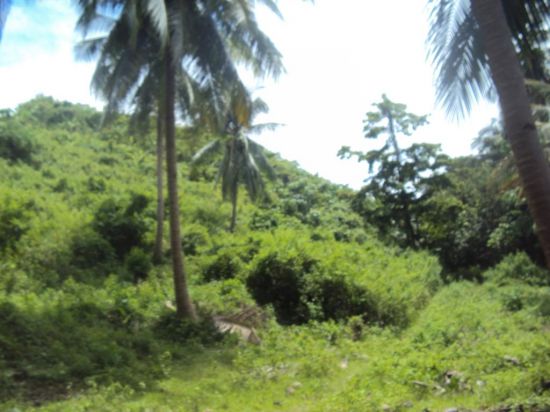 Palawan real estate For Sale