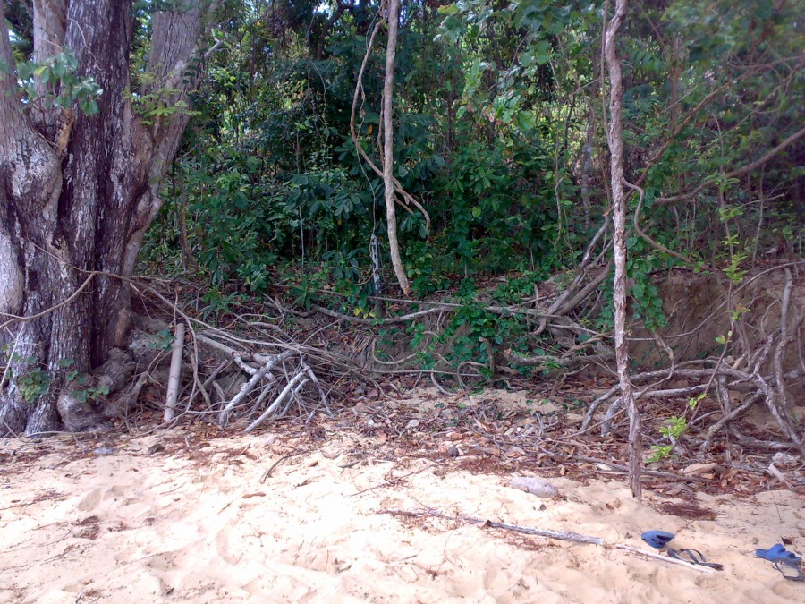 Real Estate in Palawan