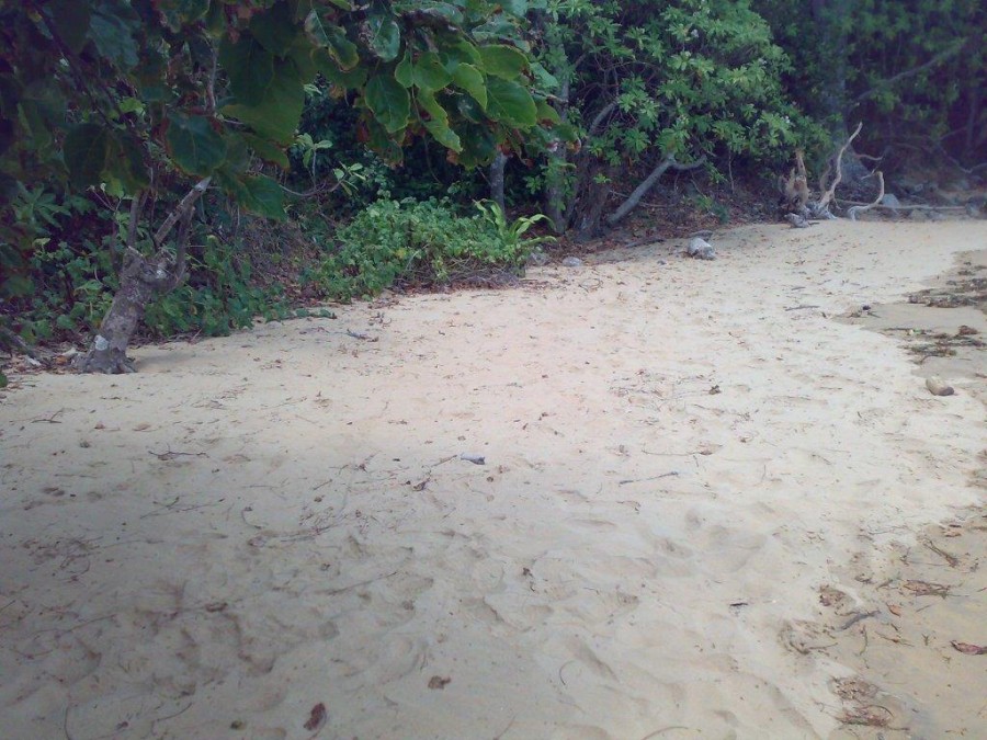 Open for inspection in Palawan